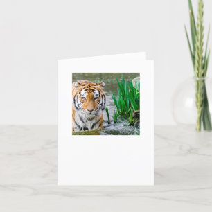 test thank you card