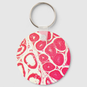 Testicle Cells under the Microscope Keychain