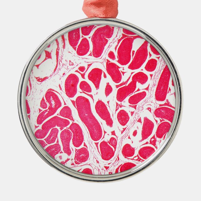 Testicle Cells under the Microscope Metal Ornament (Front)