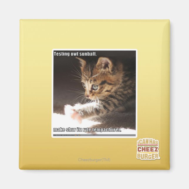 Testing owt sunbaff magnet (Front)