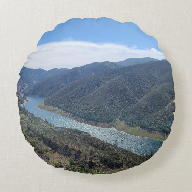 testing the hard stuff round pillow (Front)