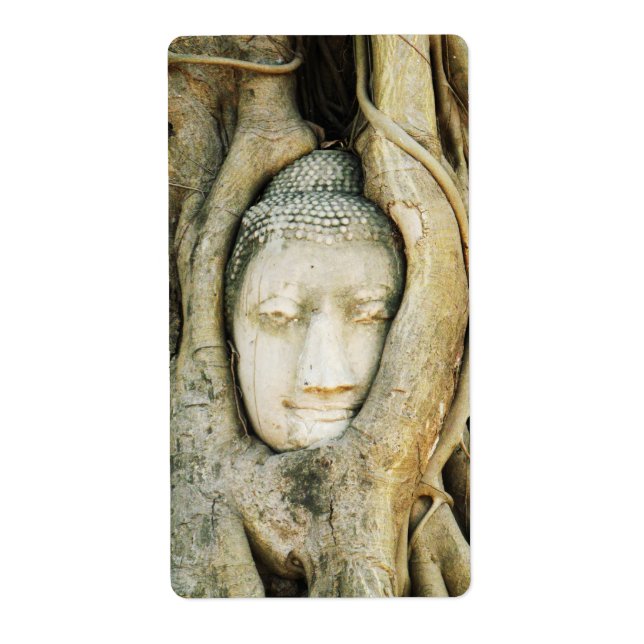 Tête de Bouddha dans le Fig Tree .. Ayutthaya, Tha (Devant)