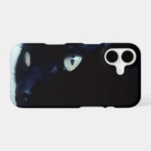 Tête de Chat Noir