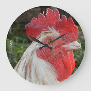 Tête de Coq Brun Blanc, Grande Horloge Murale Rond