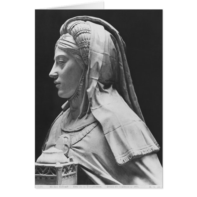 Tête de modération (Devant)