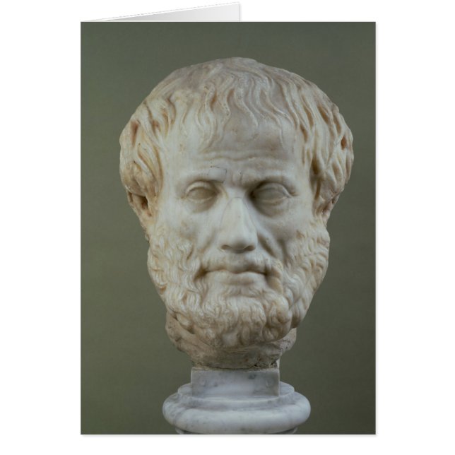 Tête en marbre d'Aristote (Devant)