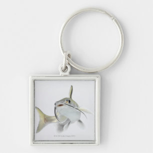 Tete sea catfish (Hexanematichthys seemanni) 2 Keychain