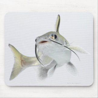Tete sea catfish (Hexanematichthys seemanni) 2 Mouse Pad