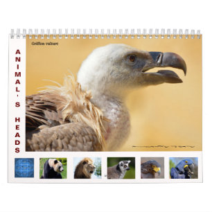 Têtes d'animal calendrier 12 mois