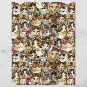 Têtes de chat papier scrapbook 8.5x11, dame de cha