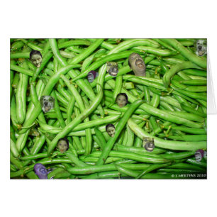 Têtes de haricots verts !