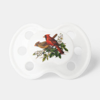 Tétine de bébé avec de beaux oiseaux cardinaux