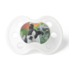 Photo principale animale de chiot mignon de chien