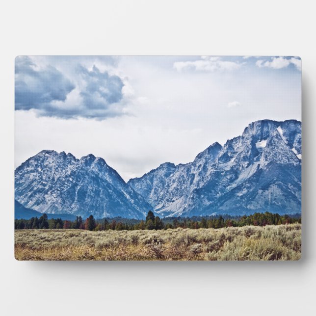 Teton 6976 plaque (Front)