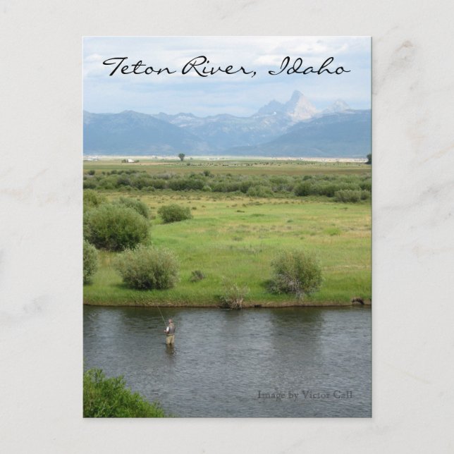 Teton River, Idaho Fisherman Postcard (Front)