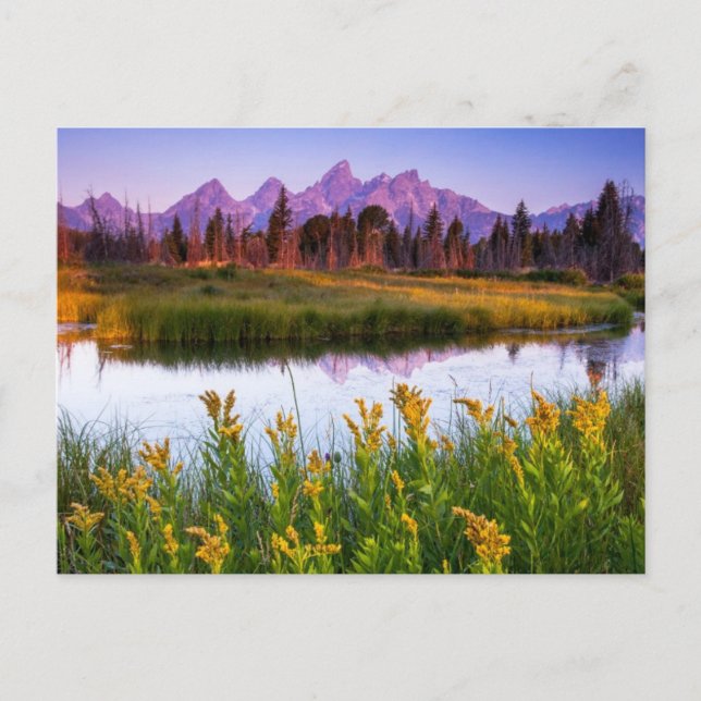 Teton Sunrise Postcard (Front)