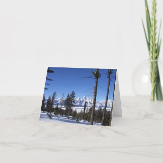 Tetons in February Card