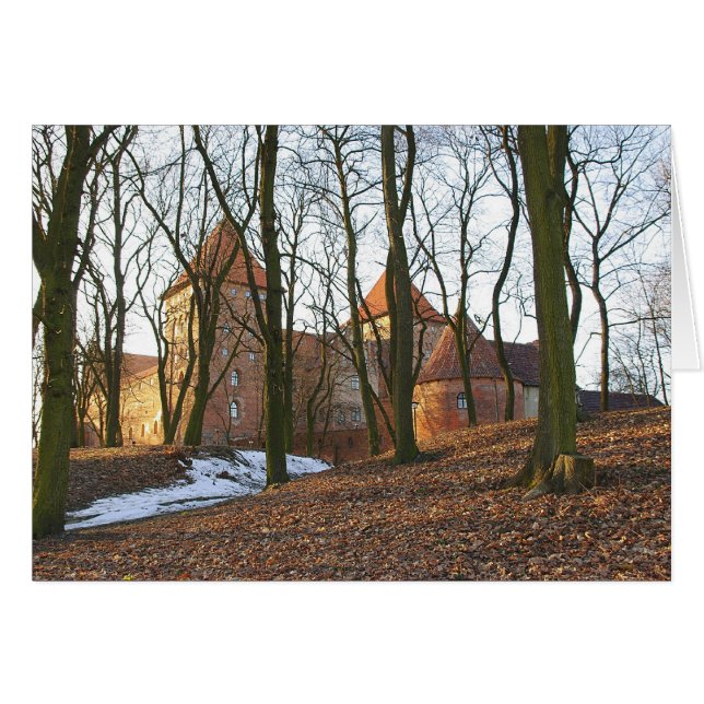 Teutonic Order castle Neidenburg - Card (Front Horizontal)