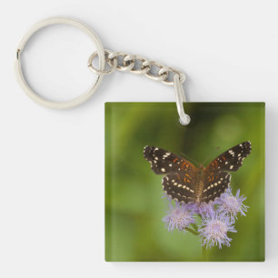 Texan Crescent butterfly Keychain