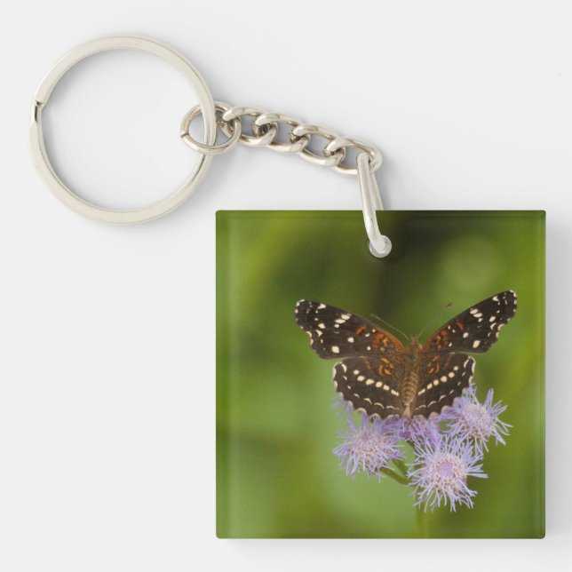 Texan Crescent butterfly Keychain (Front)
