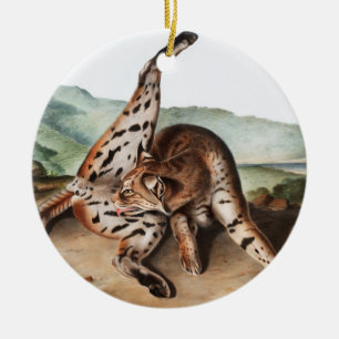 Texan Lynx (Lynx rufus var maculatus) Illustration Ceramic Ornament