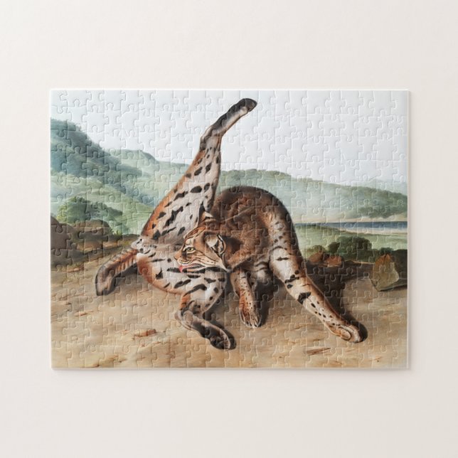 Texan Lynx (Lynx rufus var maculatus) Illustration Jigsaw Puzzle (Horizontal)