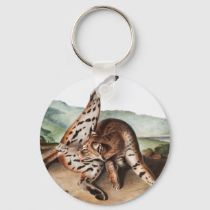 Texan Lynx (Lynx rufus var maculatus) Illustration Keychain