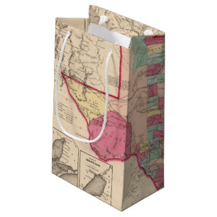 Texas 10 small gift bag