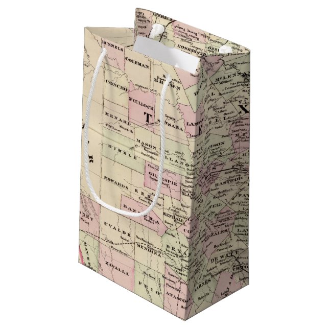 Texas 12 small gift bag (Back Angled)