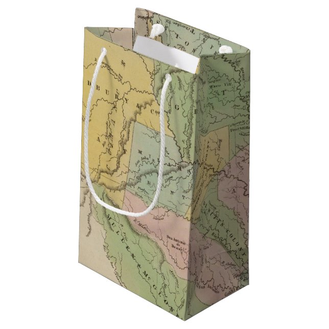 Texas 14 small gift bag (Back Angled)