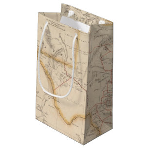 Texas 4 small gift bag
