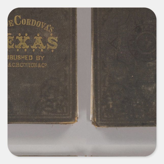 Texas 6 square sticker (Front)