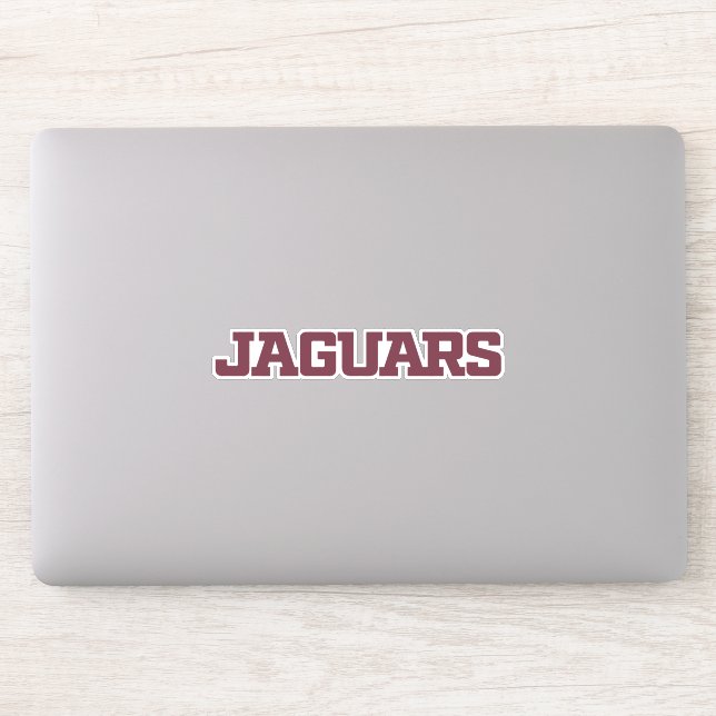 Texas A&M University-San Antonio Jaguars (Computer)