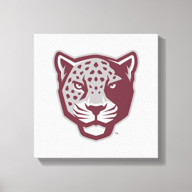 Texas A&M University-San Antonio | Jaguars Canvas Print (Front)