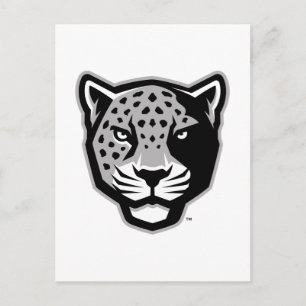 Texas A&M University-San Antonio Jaguars Postcard