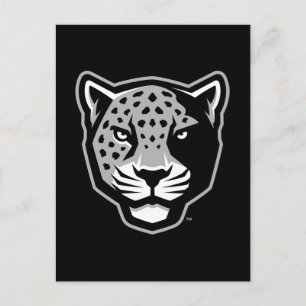 Texas A&M University-San Antonio Jaguars Postcard