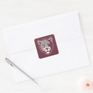 Texas A&M University-San Antonio   Jaguars Square Sticker