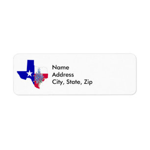 Texas and Bluebonnets