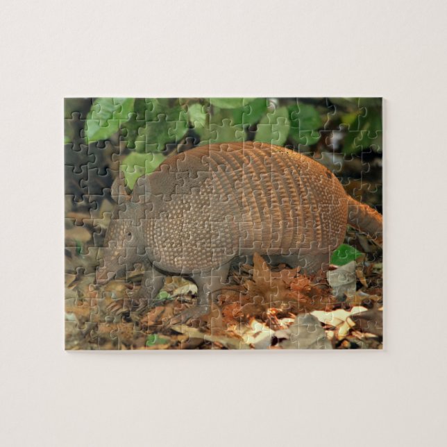 Texas Armadillo Jigsaw Puzzle (Horizontal)