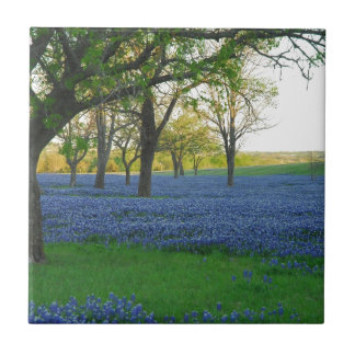 Texas Blue Bonnets Tile