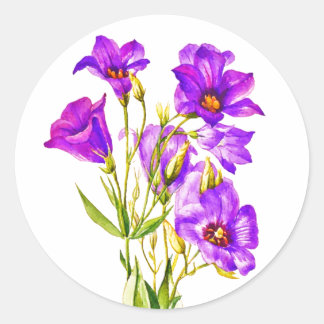 Texas Bluebells Eustoma Russellianum Watercolor Classic Round Sticker
