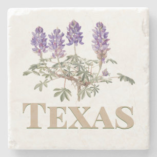 Texas Bluebonnet 2 Stone Coaster