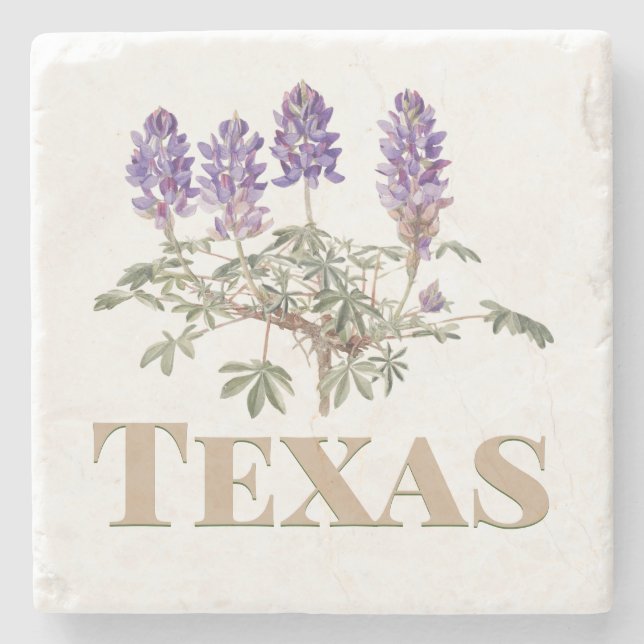 Texas Bluebonnet 2  Stone Coaster (Front)