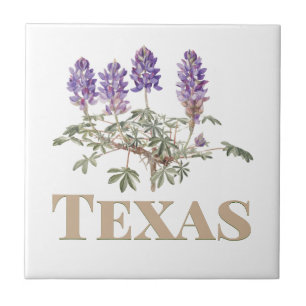 Texas Bluebonnet 2  Tile