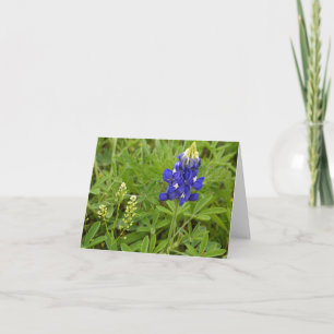 Texas Bluebonnet Card