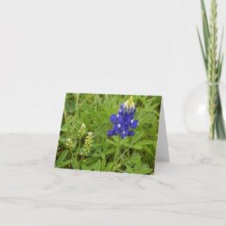 Texas Bluebonnet Card