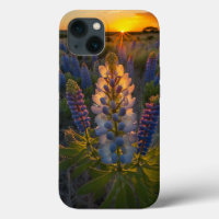 Texas Bluebonnet