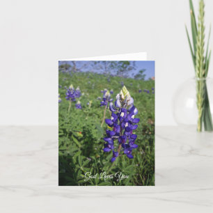 Texas Bluebonnet Christian John 3:16 Blank Inside Card