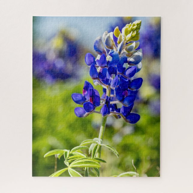 Texas Bluebonnet Flower Jigsaw Puzzle (Vertical)