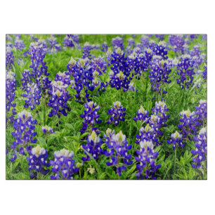 Texas bluebonnet glass cutting board